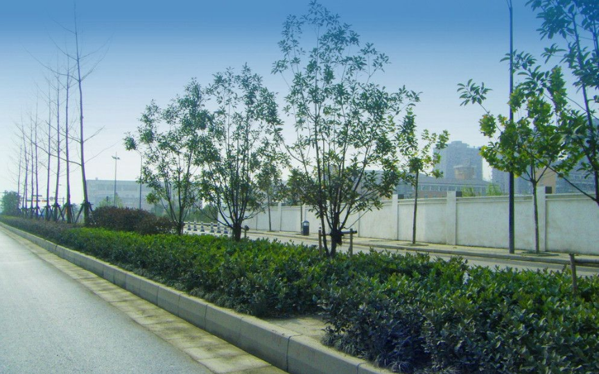 道路自清洁涂料的发展趋势